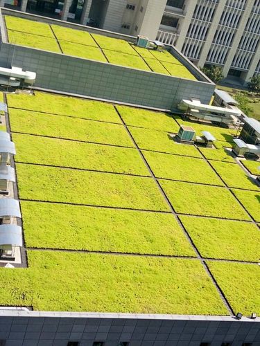 海綿城市建設屋頂綠化驗收攻略 園林綠化要點全解析